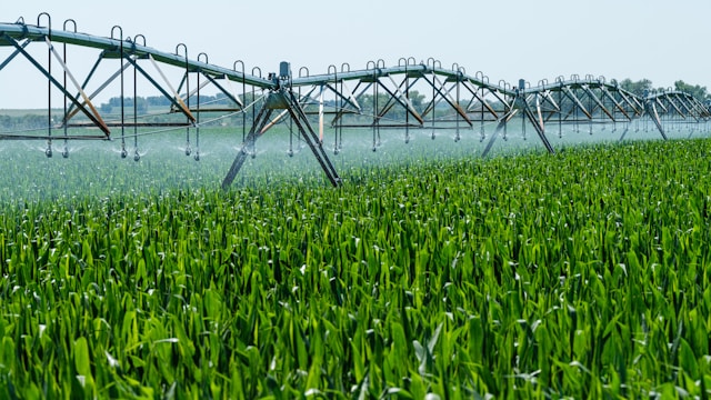 5 Water Management Laws Every Produce Grower Should Know