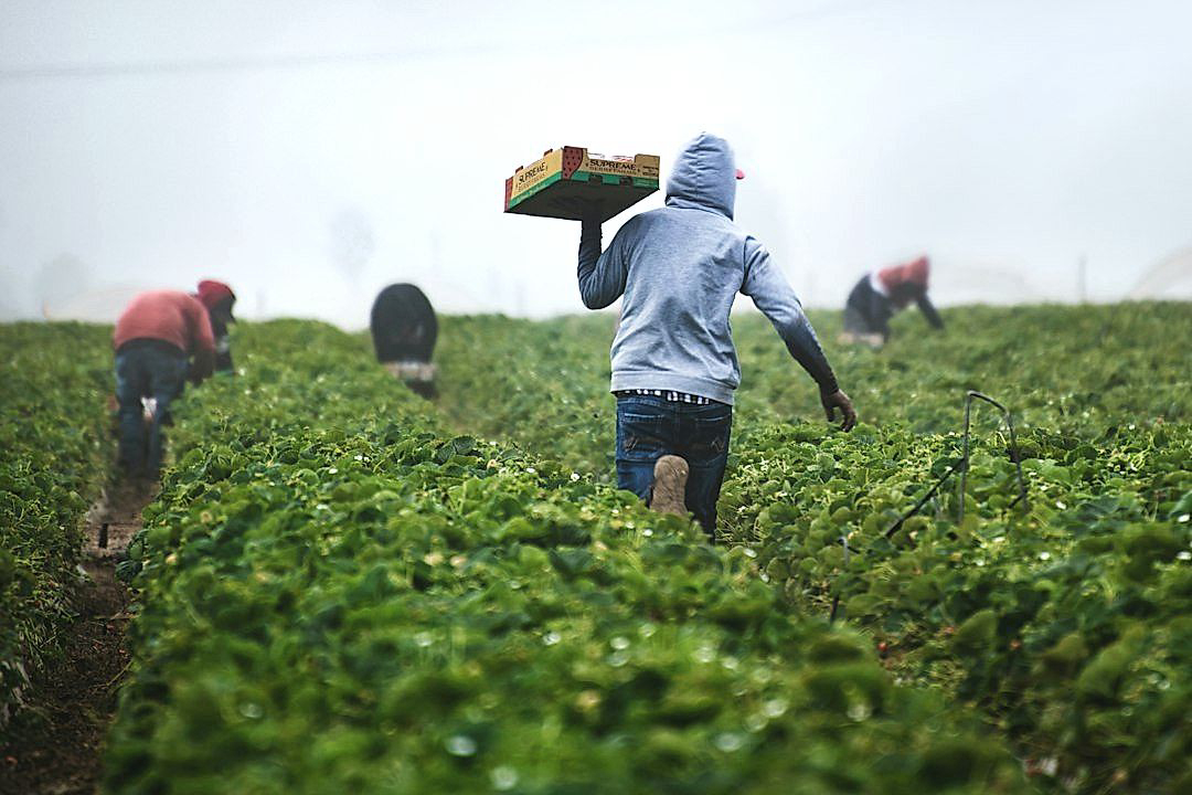 5 Fair Trade Practices Enhancing Small Produce Farms